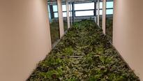 Floorawall auf 5 Etagen im Lichthof ingetriert